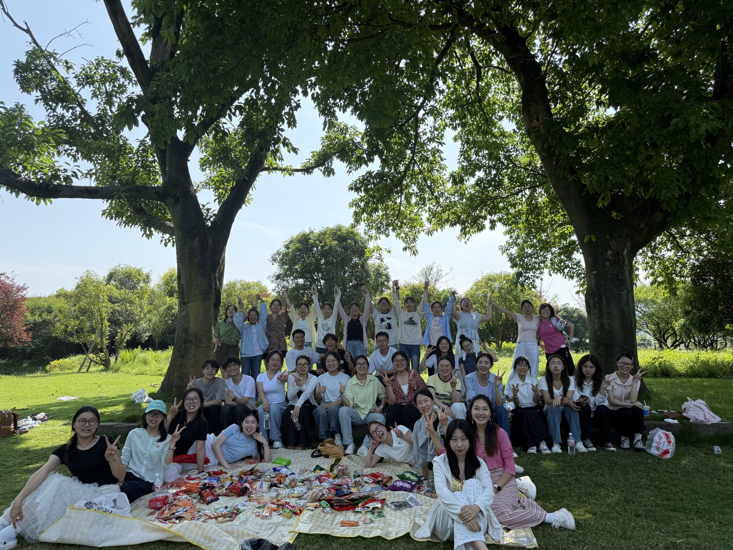 辅导员助理